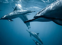 赛后大秀舞姿，德约：这是女儿教我的，祝她生日快乐